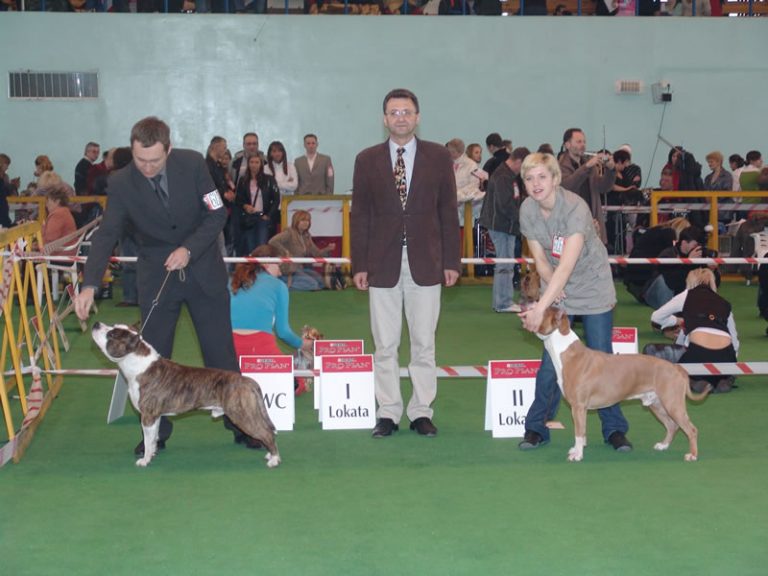 Wystawa psów 8-9 kwietnia