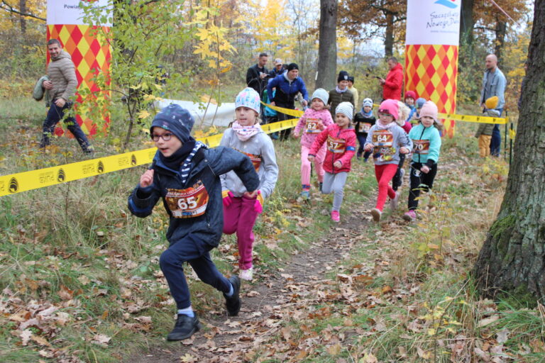 Cross Złotych Liści